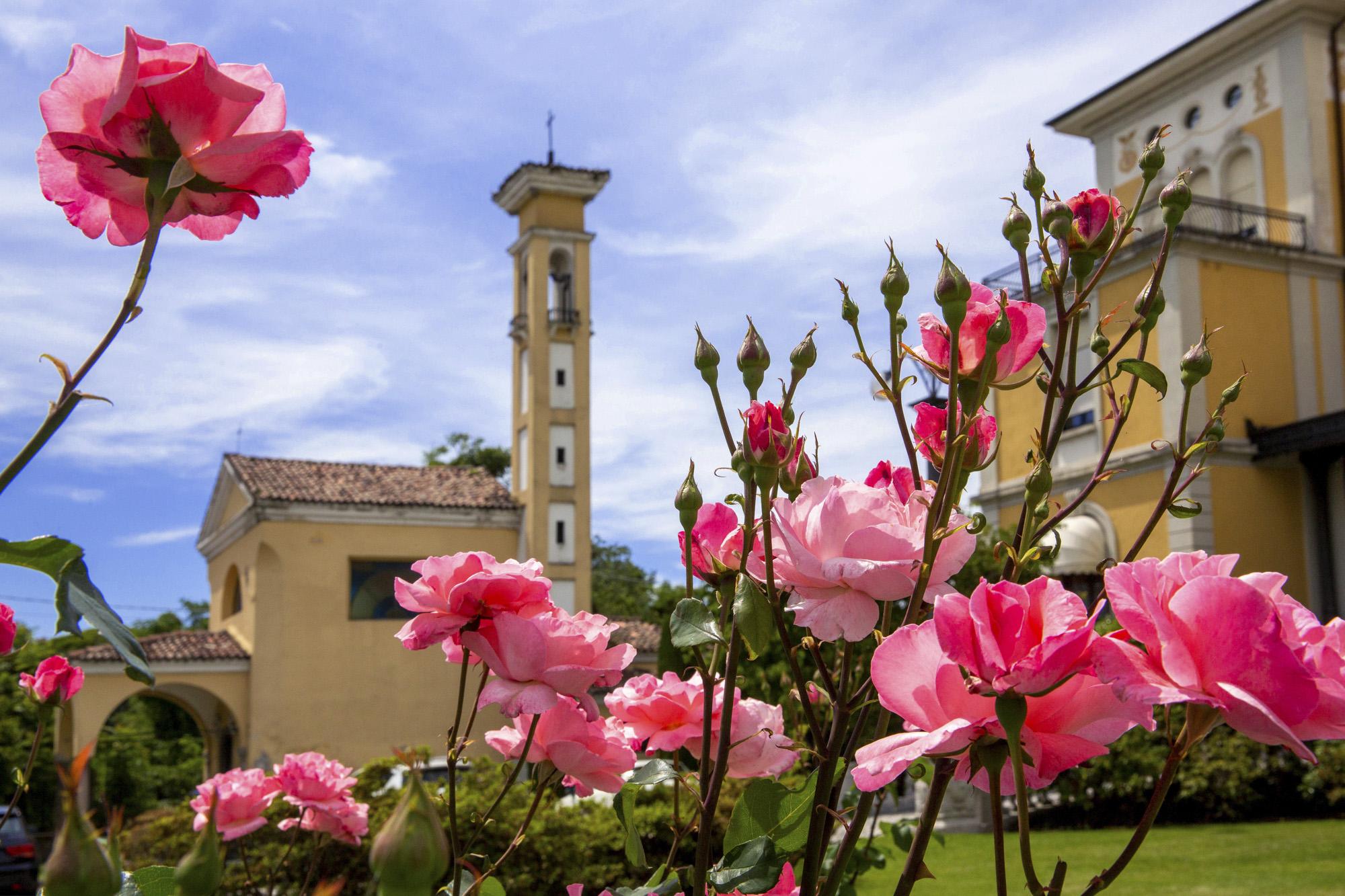 Hotel Villa Malpensa Виццола-Тичино Экстерьер фото